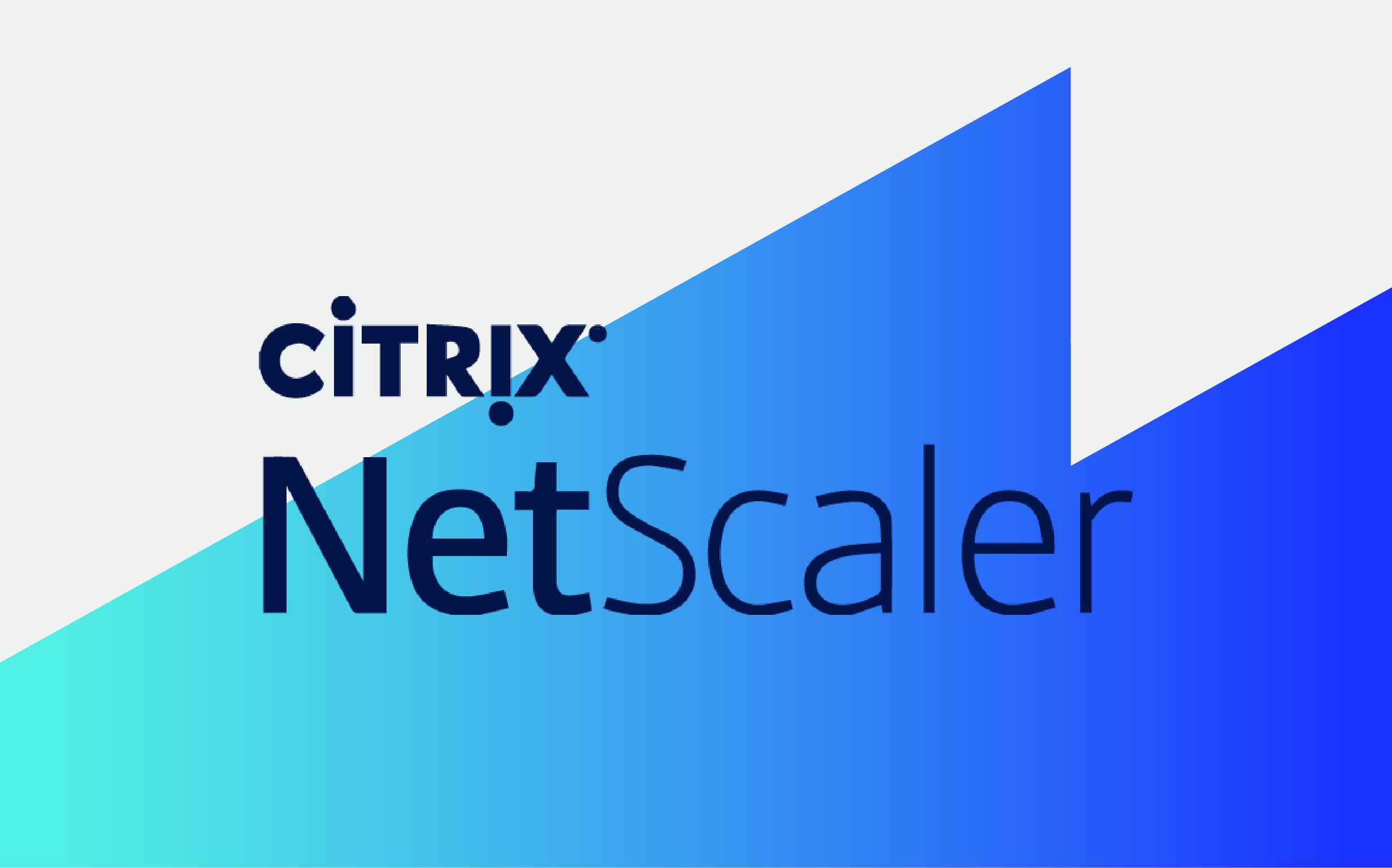 Citrix Netscaler