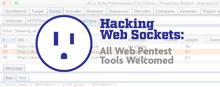 Hacking Websockets graphic